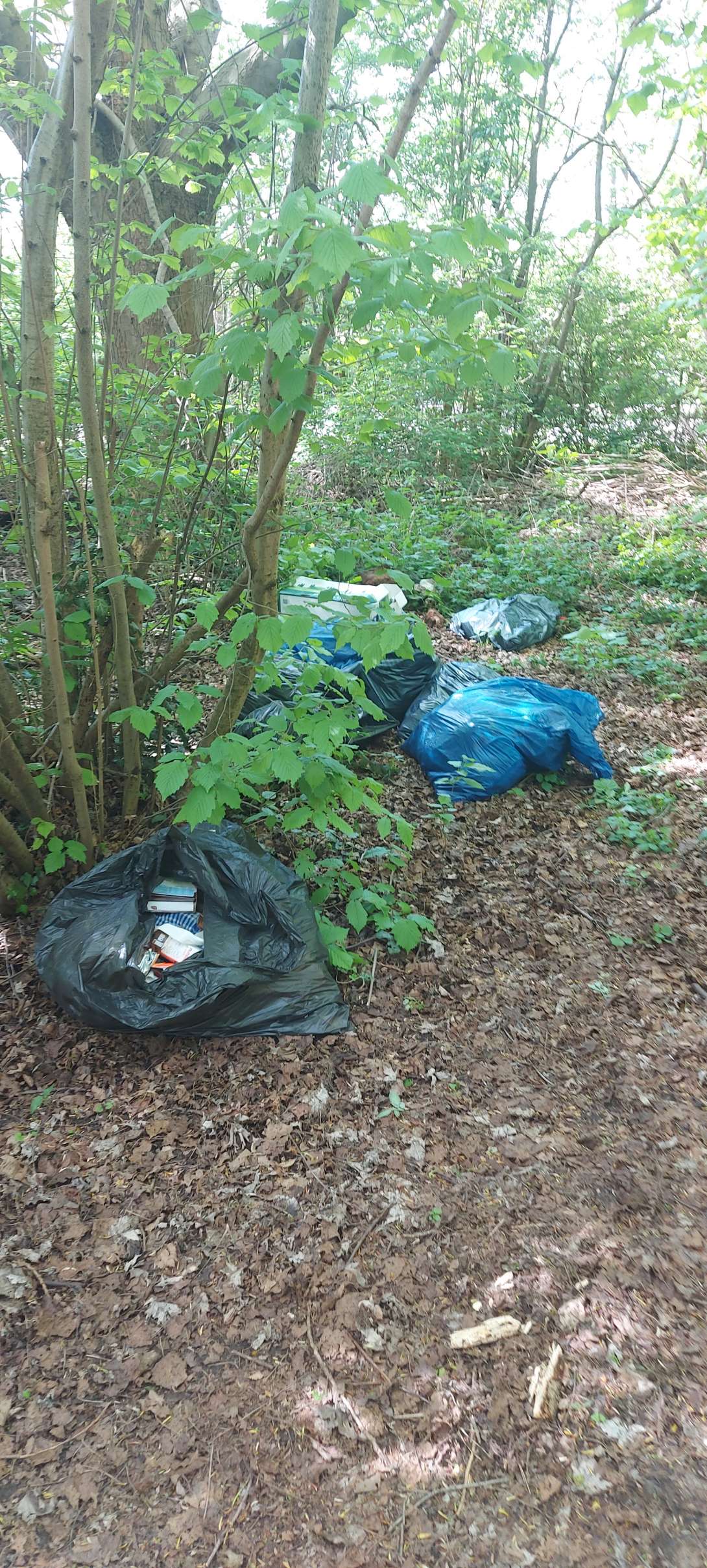 Bild zu gemeldetem Anliegen vom *2025-04-19 14:04:13