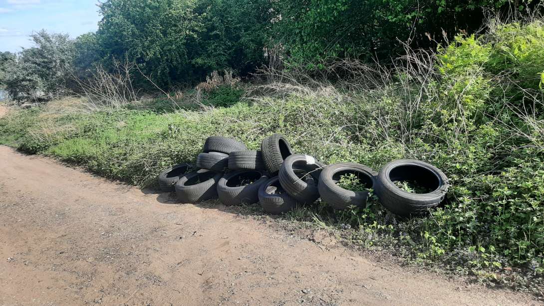 Bild zu gemeldetem Anliegen vom *2025-04-19 19:55:13