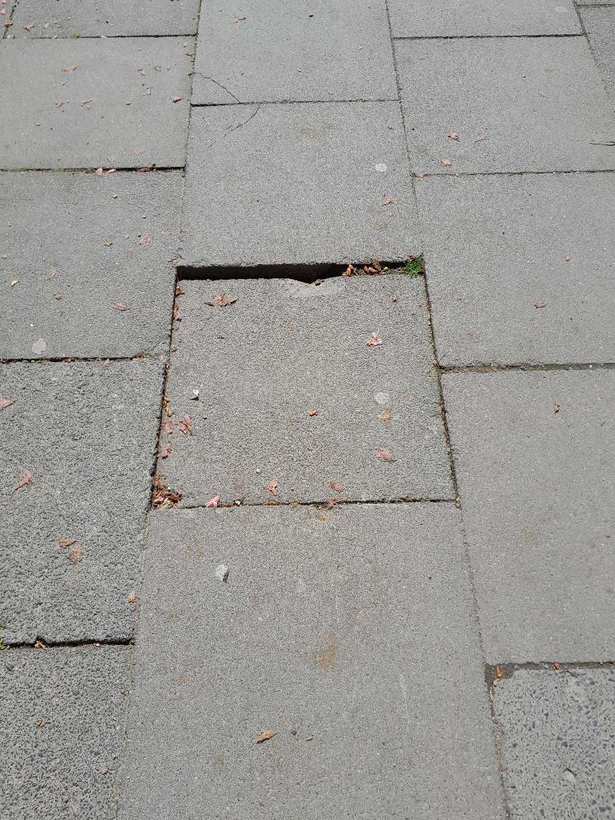 Bild zu gemeldetem Anliegen vom *2025-04-22 17:33:41