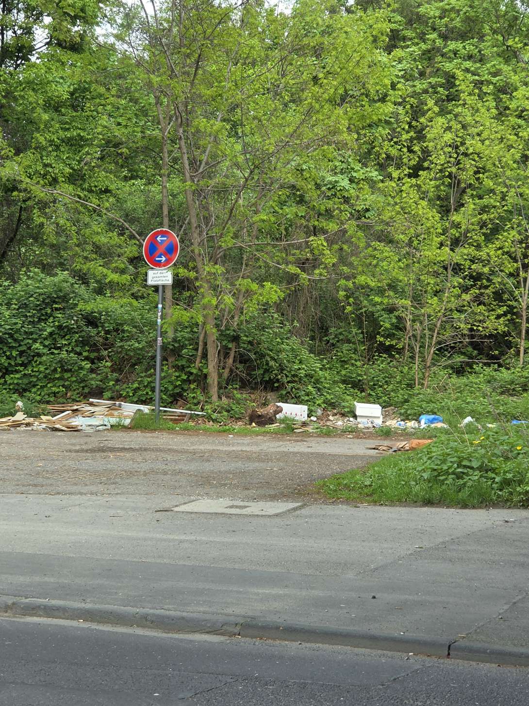 Bild zu gemeldetem Anliegen vom *2025-04-22 17:22:51