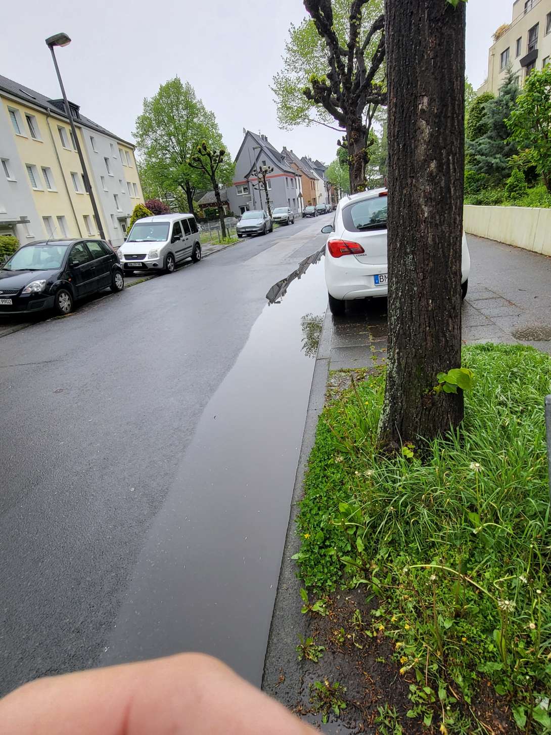 Bild zu gemeldetem Anliegen vom *2025-04-25 10:23:06