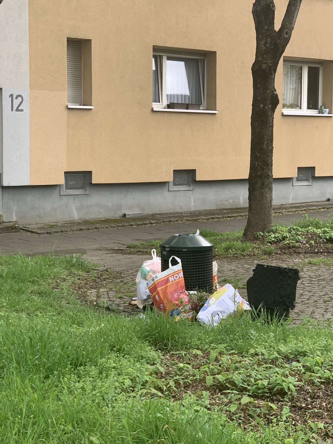 Bild zu gemeldetem Anliegen vom *2025-04-21 18:19:50