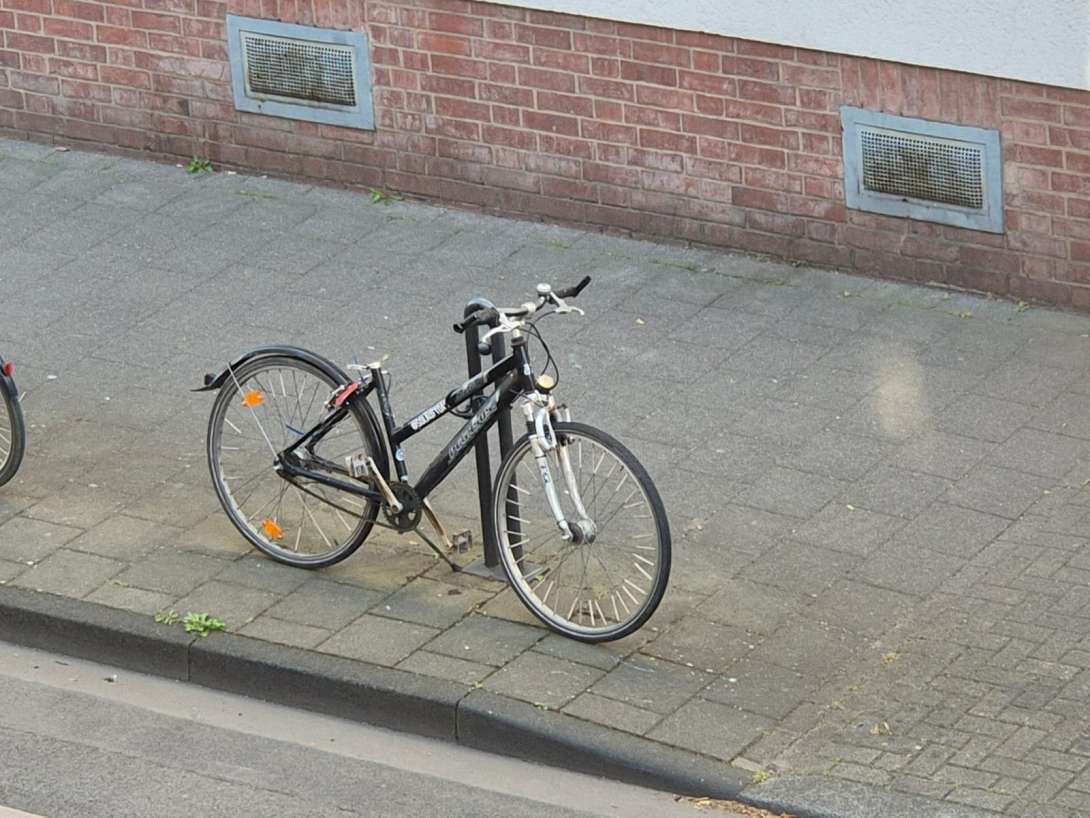 Bild zu gemeldetem Anliegen vom *2025-04-07 15:27:53