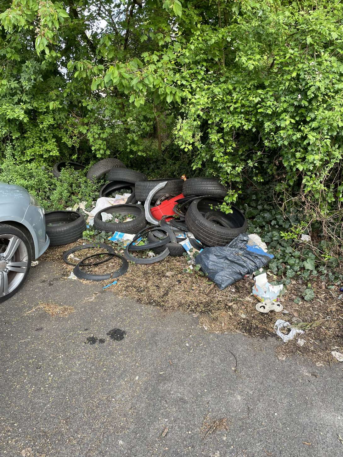 Bild zu gemeldetem Anliegen vom *2025-04-19 19:30:00