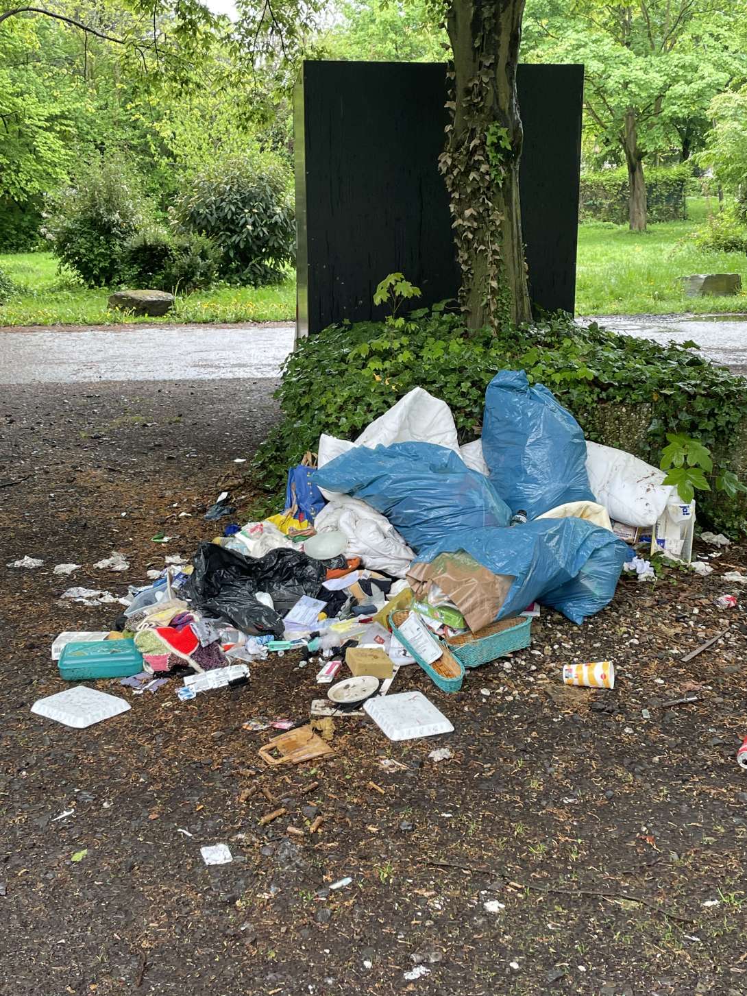 Bild zu gemeldetem Anliegen vom *2025-04-23 16:27:43