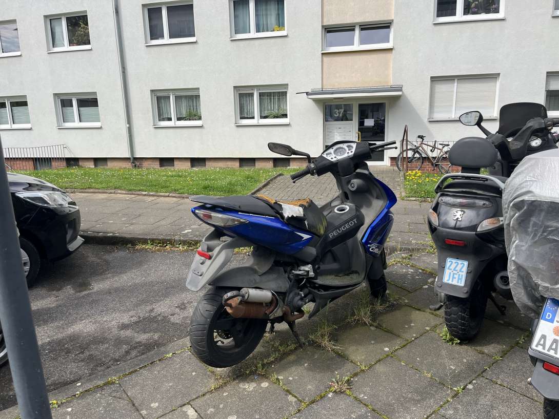 Bild zu gemeldetem Anliegen vom *2025-04-23 09:27:37