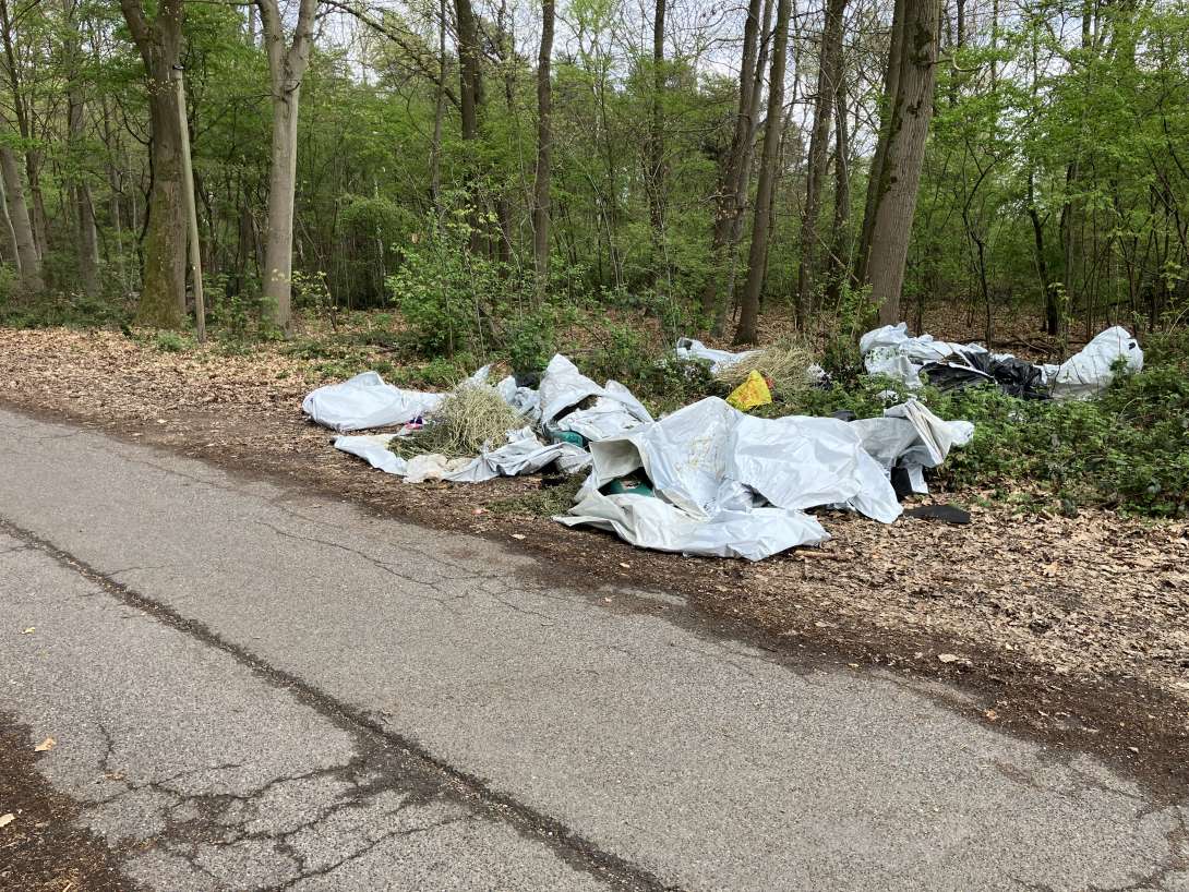 Bild zu gemeldetem Anliegen vom *2025-04-13 17:13:56