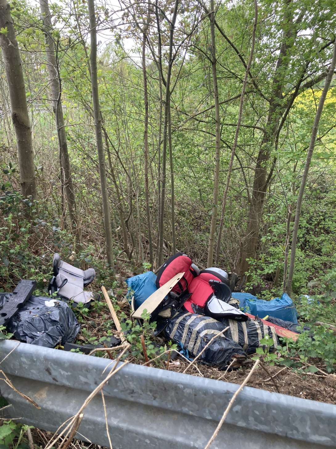 Bild zu gemeldetem Anliegen vom *2025-04-22 11:42:51