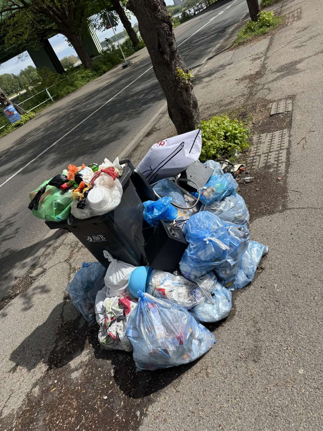 Bild zu gemeldetem Anliegen vom *2025-04-21 13:52:21