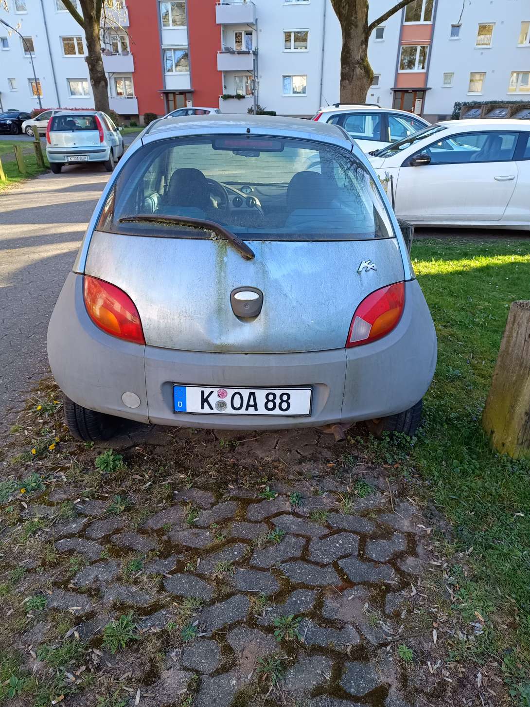 Bild zu gemeldetem Anliegen vom *2025-04-09 20:07:59