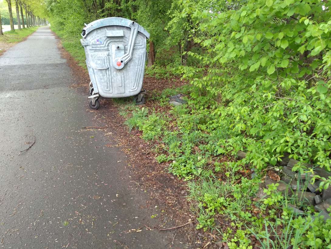 Bild zu gemeldetem Anliegen vom *2025-04-19 20:48:15