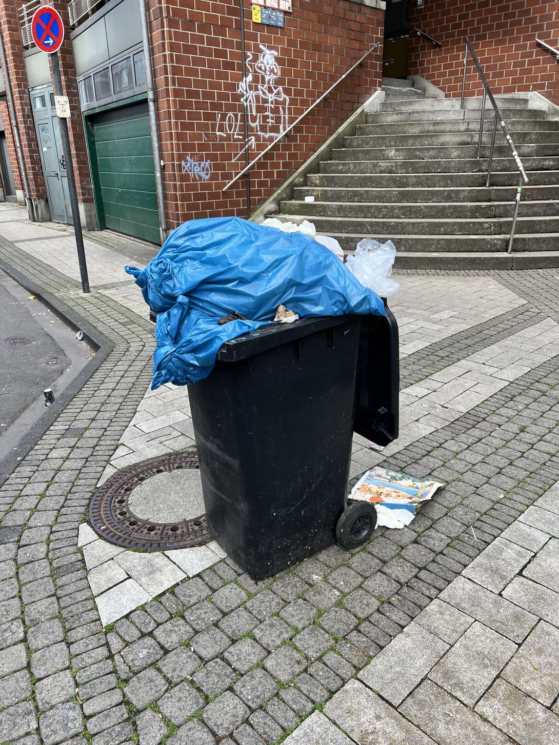 Bild zu gemeldetem Anliegen vom *2025-04-19 12:46:11