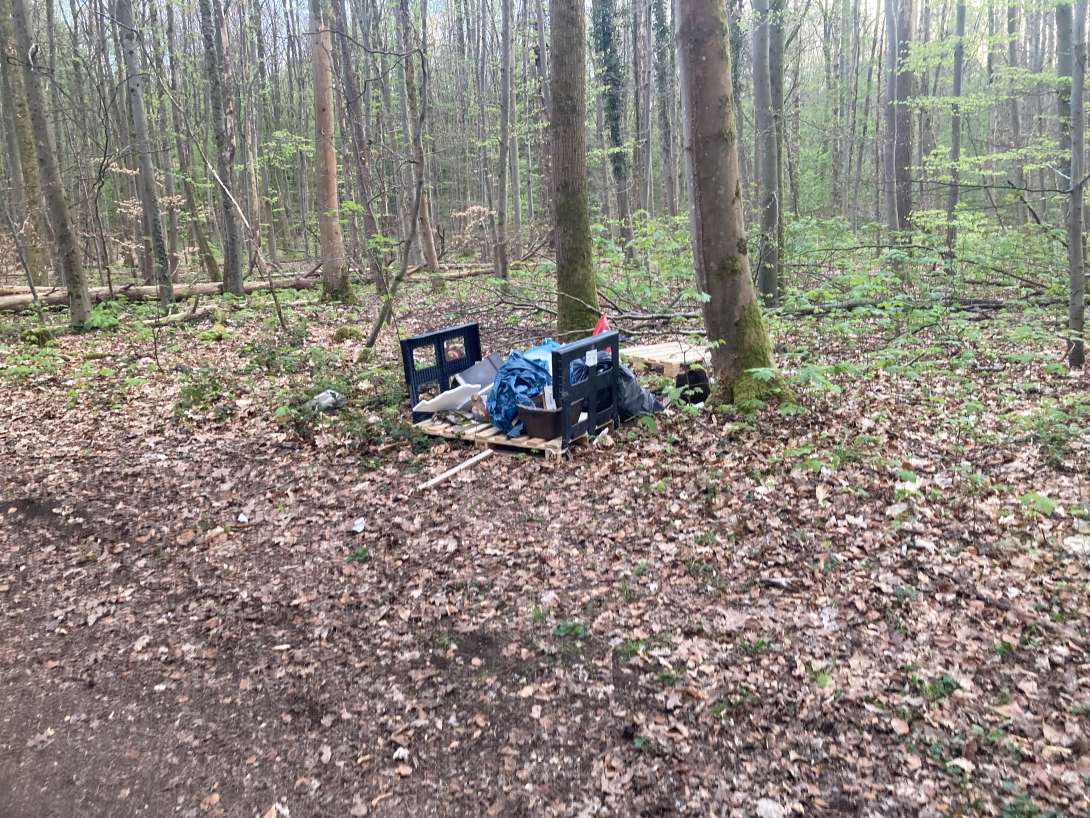 Bild zu gemeldetem Anliegen vom *2025-04-15 12:33:50