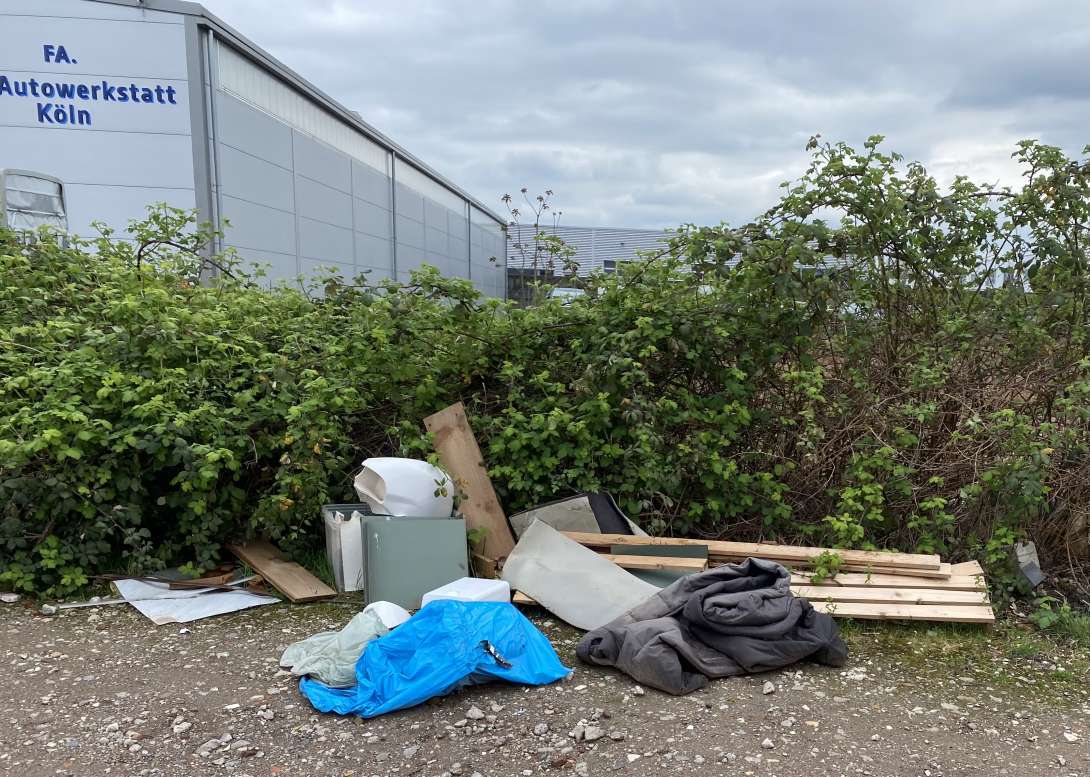 Bild zu gemeldetem Anliegen vom *2025-04-19 10:31:07