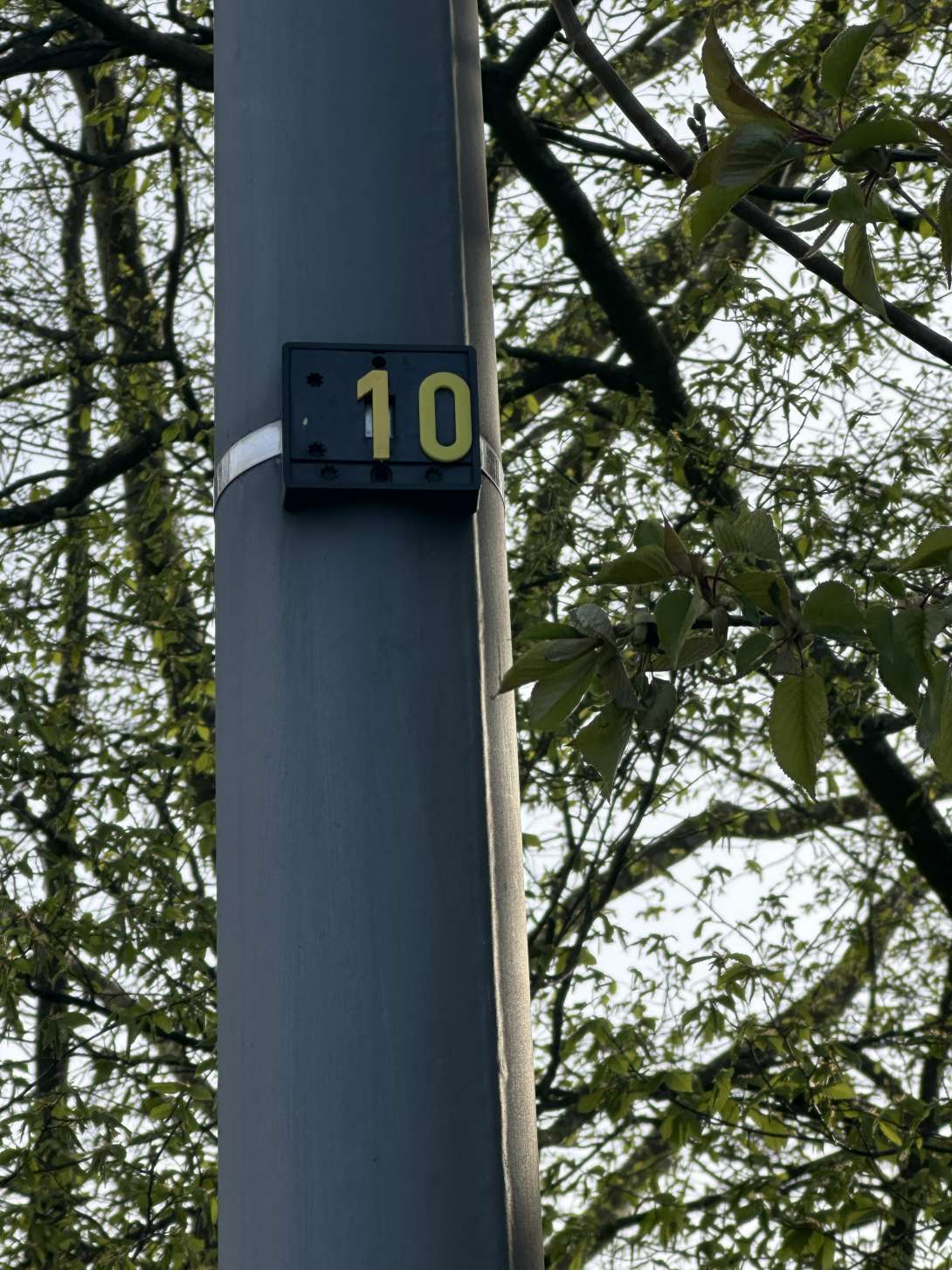 Bild zu gemeldetem Anliegen vom *2025-04-02 21:40:56