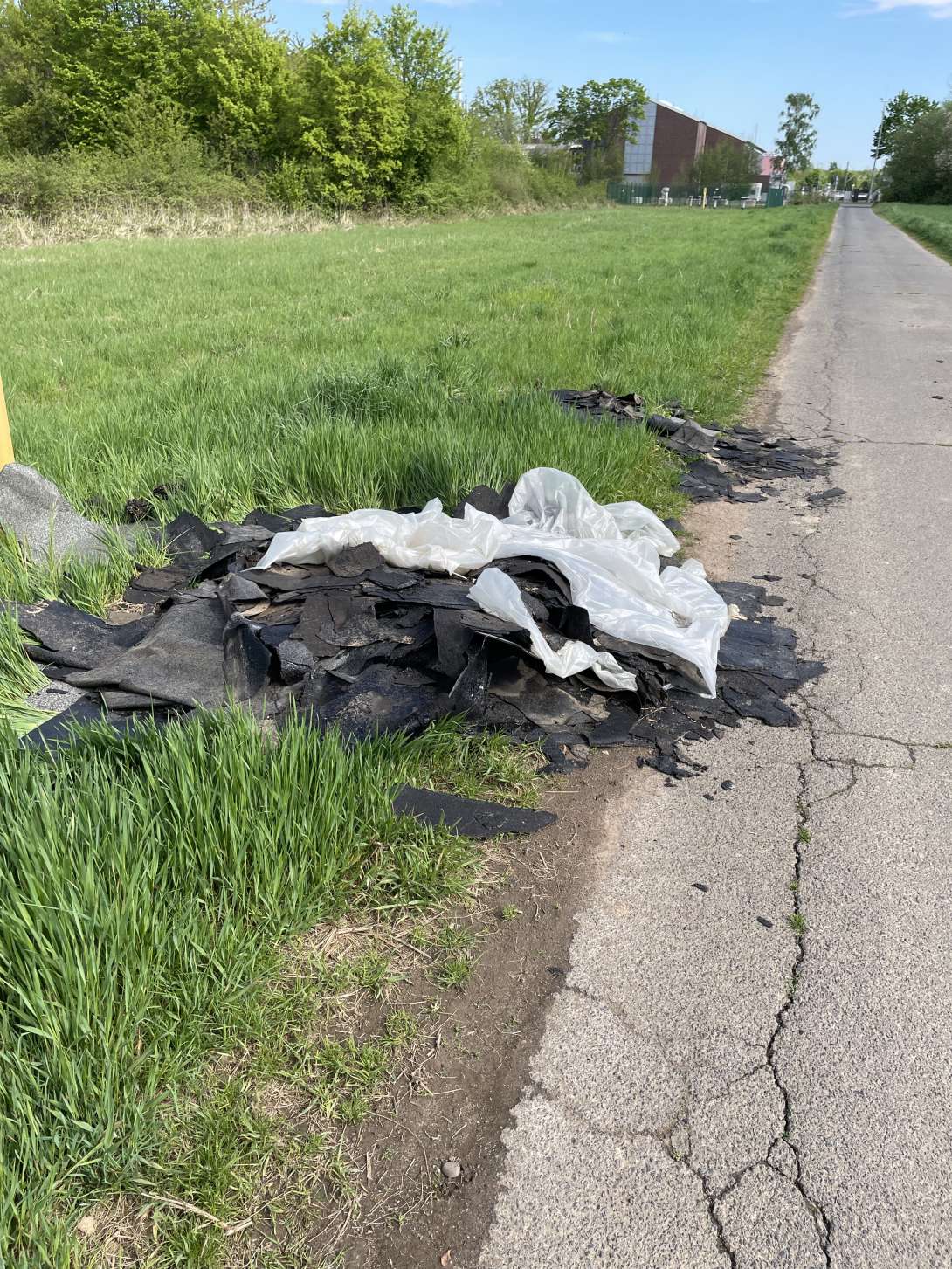 Bild zu gemeldetem Anliegen vom *2025-04-20 13:05:08