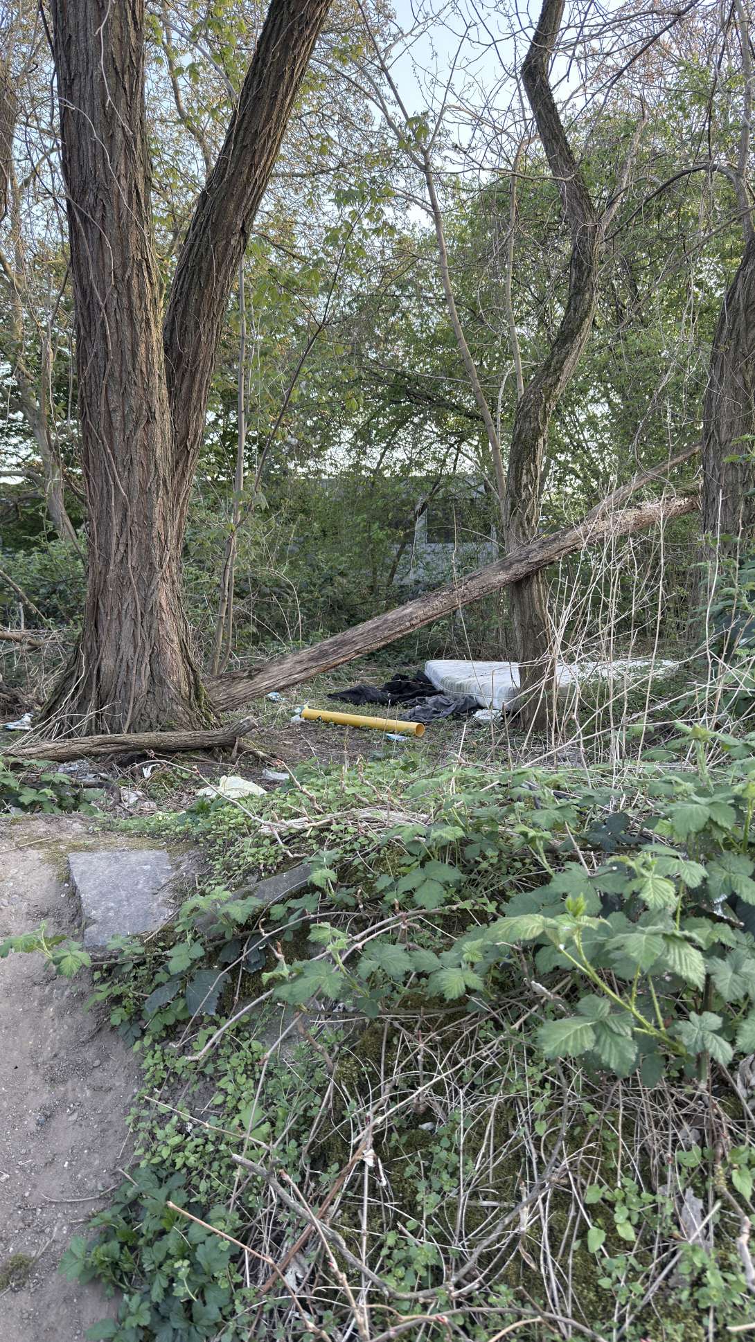 Bild zu gemeldetem Anliegen vom *2025-04-11 08:49:30