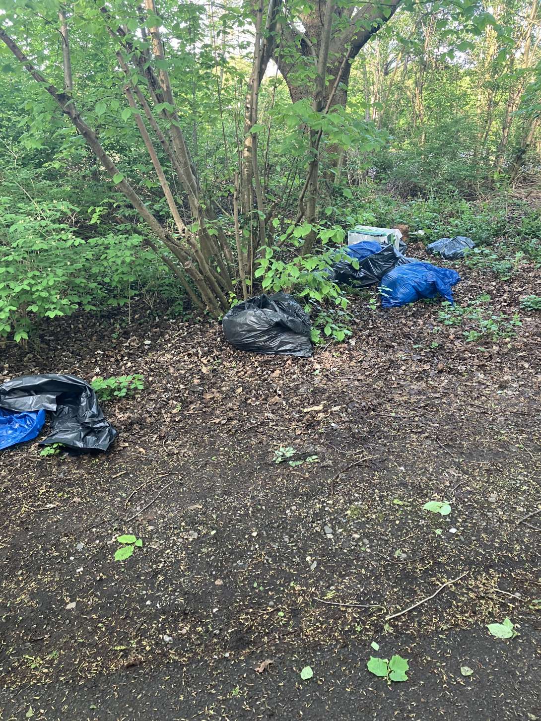 Bild zu gemeldetem Anliegen vom *2025-04-19 09:30:23