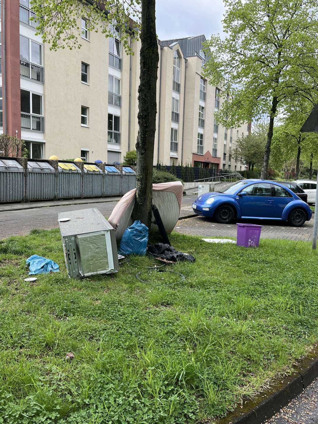 Bild zu gemeldetem Anliegen vom *2025-04-18 13:32:43