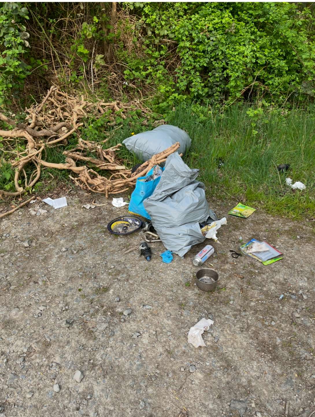 Bild zu gemeldetem Anliegen vom *2025-04-15 12:10:12