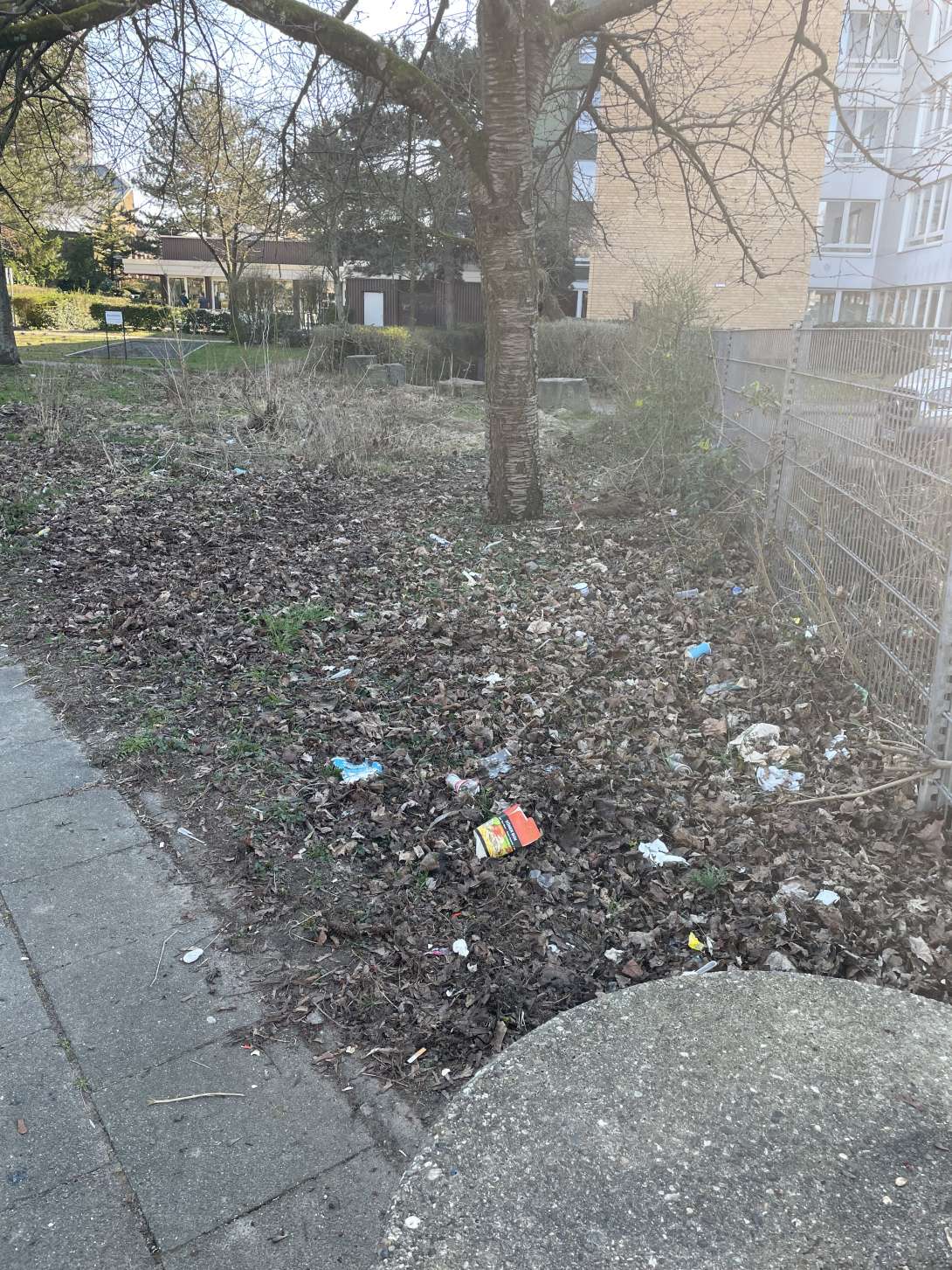 Bild zu gemeldetem Anliegen vom *2025-04-15 11:58:09