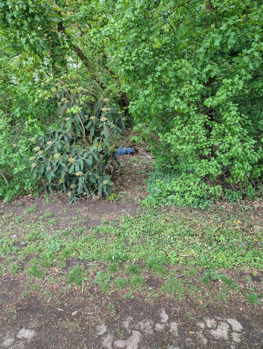 Bild zu gemeldetem Anliegen vom *2025-04-19 10:47:43