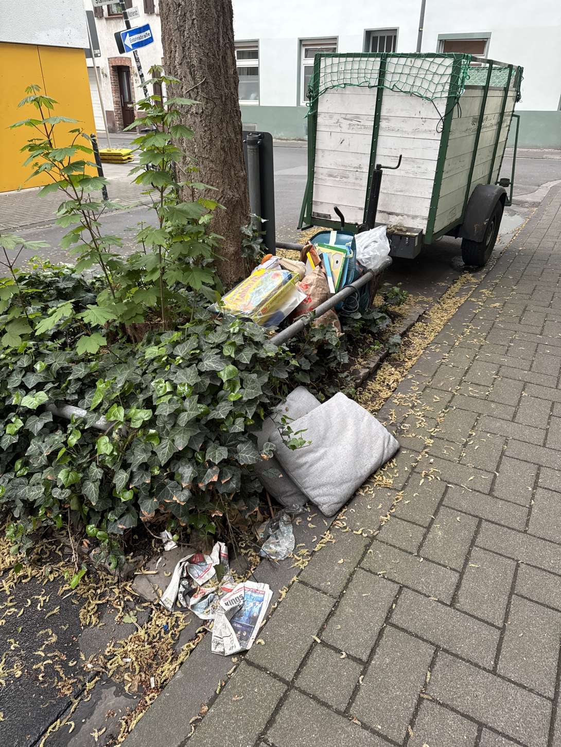 Bild zu gemeldetem Anliegen vom *2025-04-18 20:09:31