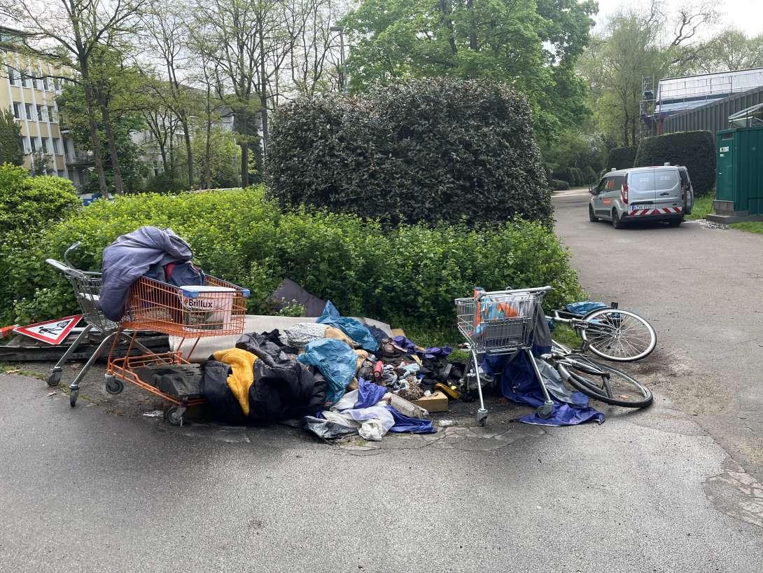 Bild zu gemeldetem Anliegen vom *2025-04-22 09:45:24