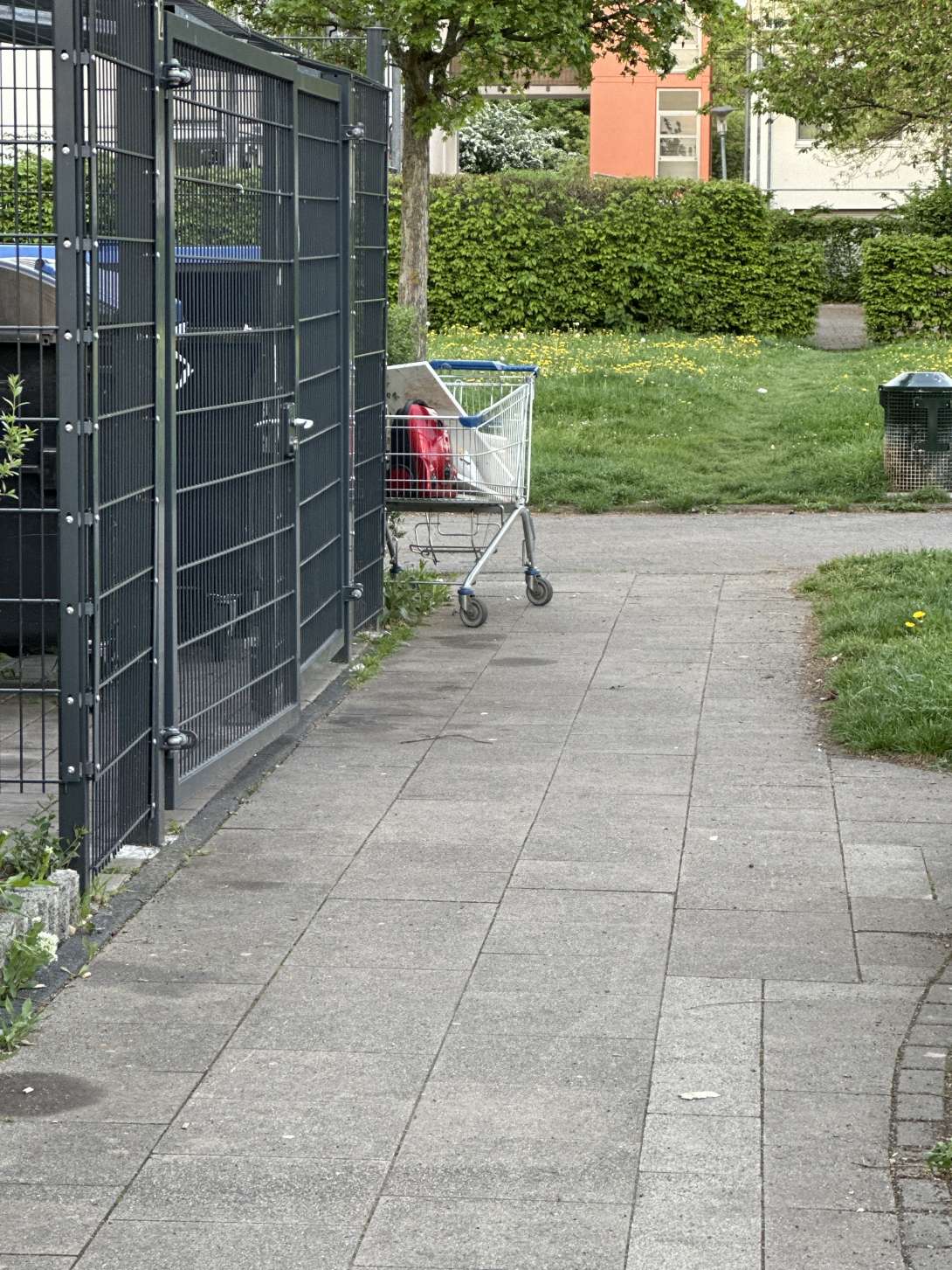 Bild zu gemeldetem Anliegen vom *2025-04-22 19:54:49