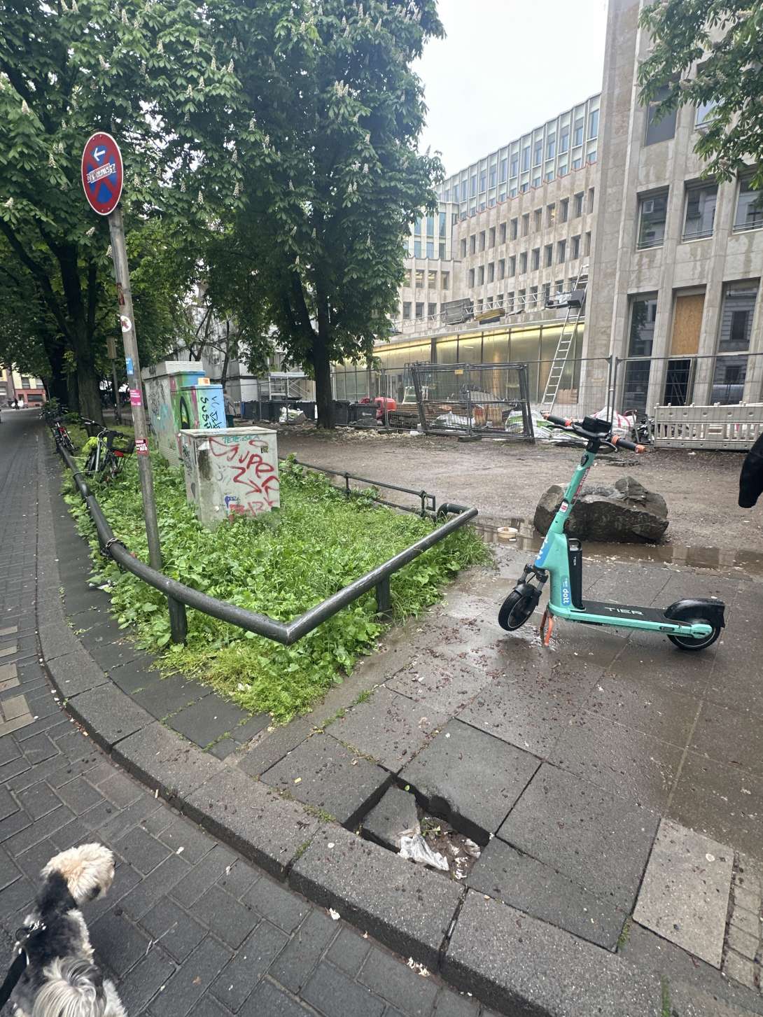 Bild zu gemeldetem Anliegen vom *2025-04-25 11:16:27