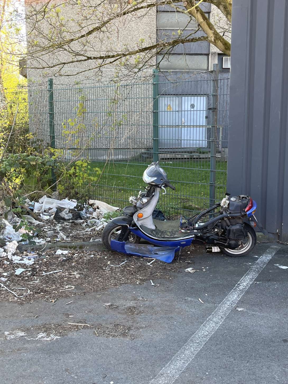 Bild zu gemeldetem Anliegen vom *2025-04-07 15:27:53