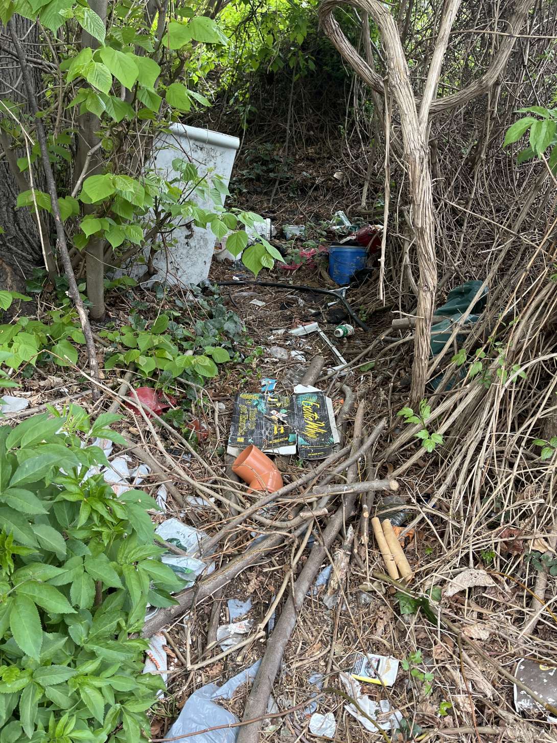 Bild zu gemeldetem Anliegen vom *2025-04-16 15:09:11