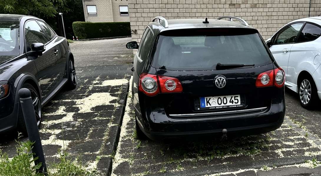 Bild zu gemeldetem Anliegen vom *2025-05-18 09:30:04