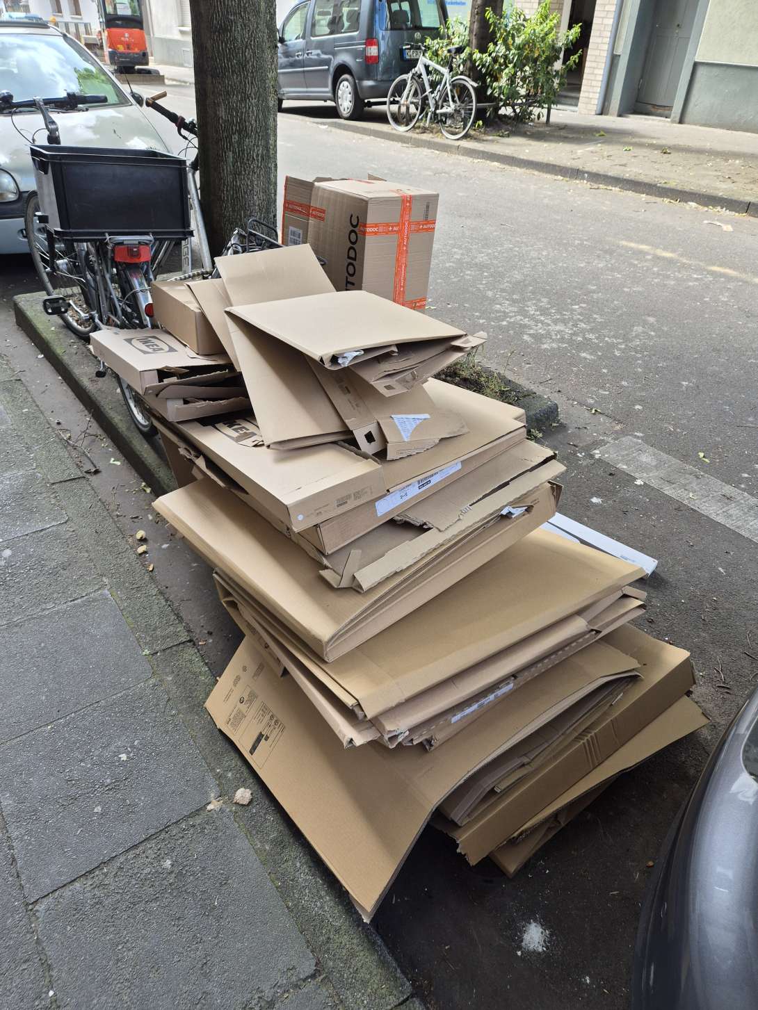 Bild zu gemeldetem Anliegen vom *2025-05-21 16:54:56