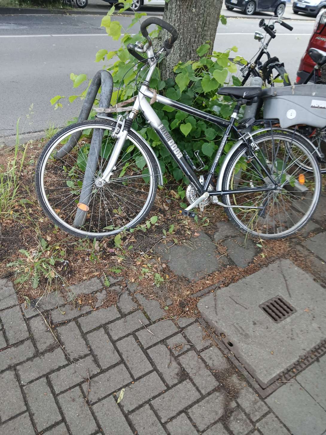 Bild zu gemeldetem Anliegen vom *2025-05-27 06:59:16