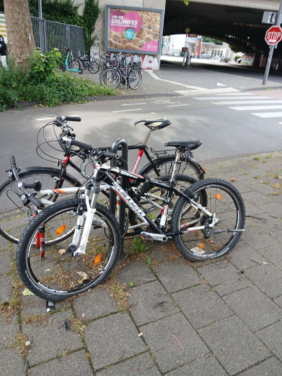 Bild zu gemeldetem Anliegen vom *2025-05-29 14:10:56