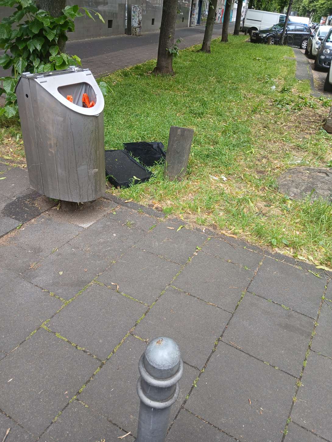 Bild zu gemeldetem Anliegen vom *2025-05-30 19:18:00
