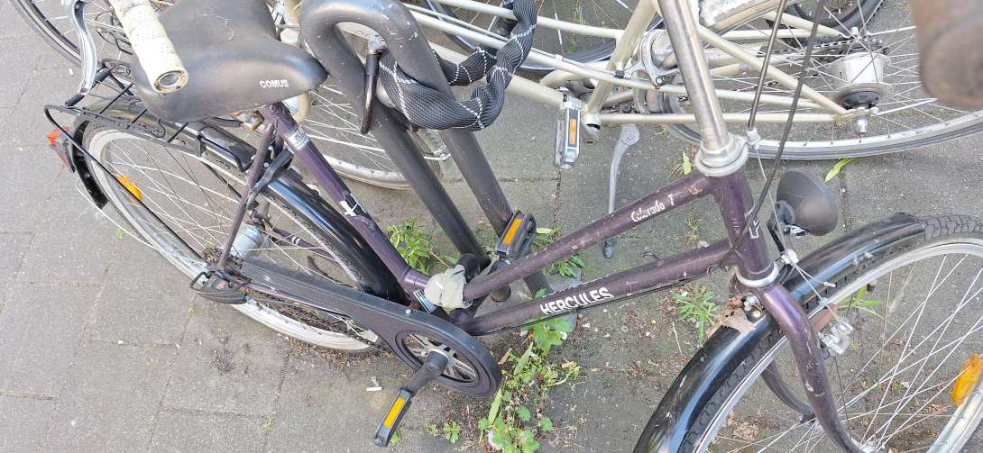 Lila Damenrad, Firma Hercules, nicht fahrtüchtig 