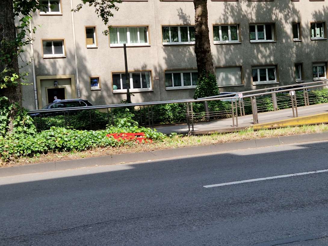 Bild zu gemeldetem Anliegen vom *2025-06-02 06:32:46