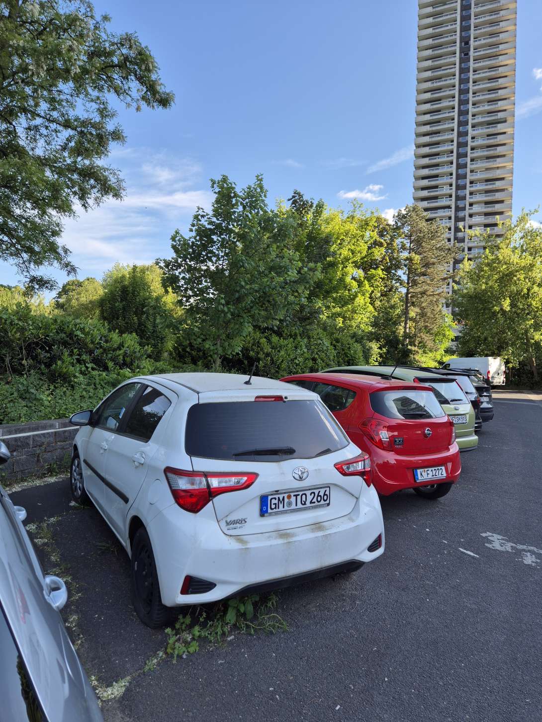 Bild zu gemeldetem Anliegen vom *2025-05-18 21:35:48