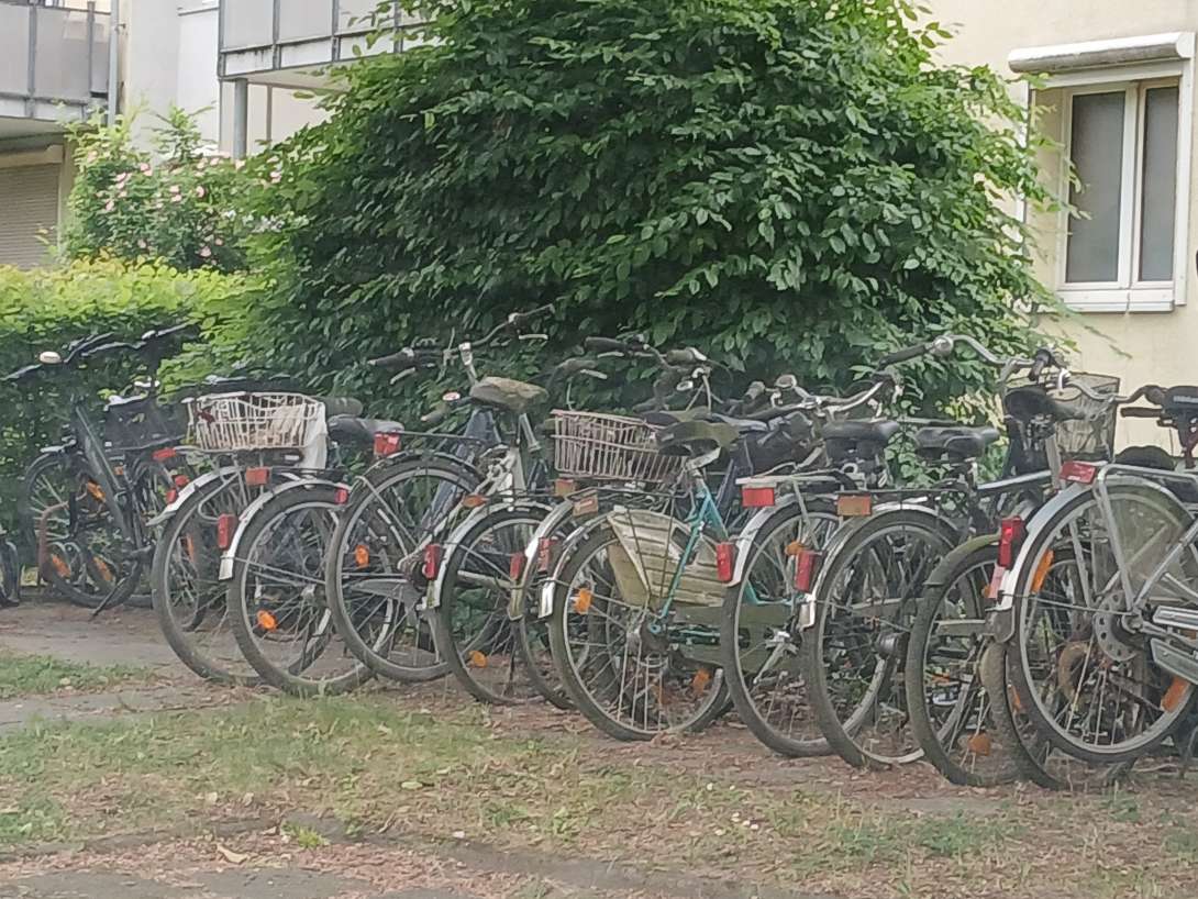Bild zu gemeldetem Anliegen vom *2025-05-18 12:29:02