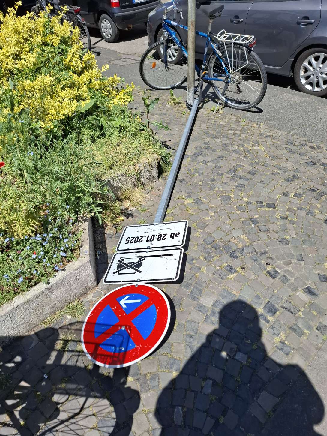 Bild zu gemeldetem Anliegen vom *2025-05-19 08:56:39