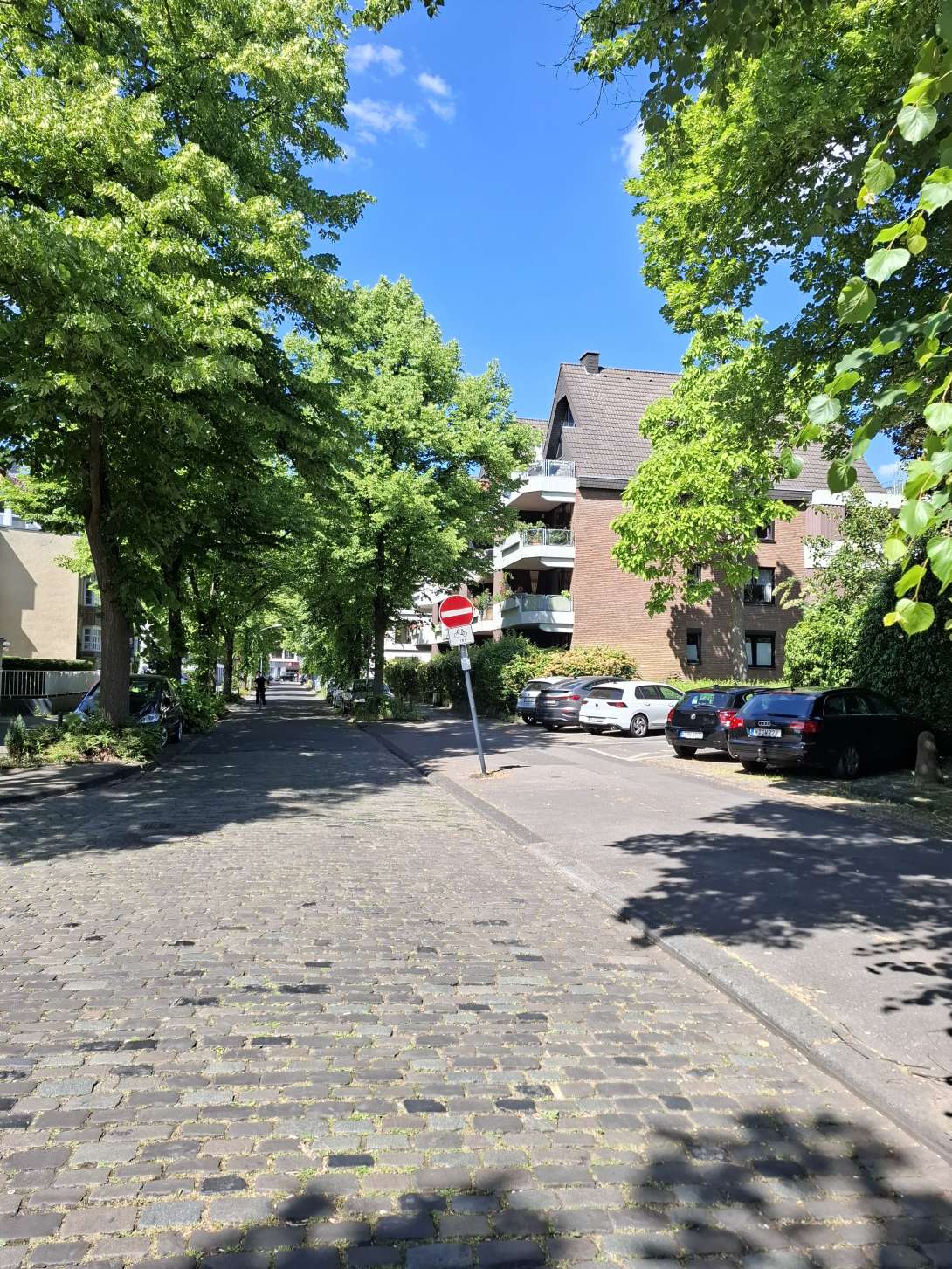 Bild zu gemeldetem Anliegen vom *2025-05-19 15:35:34