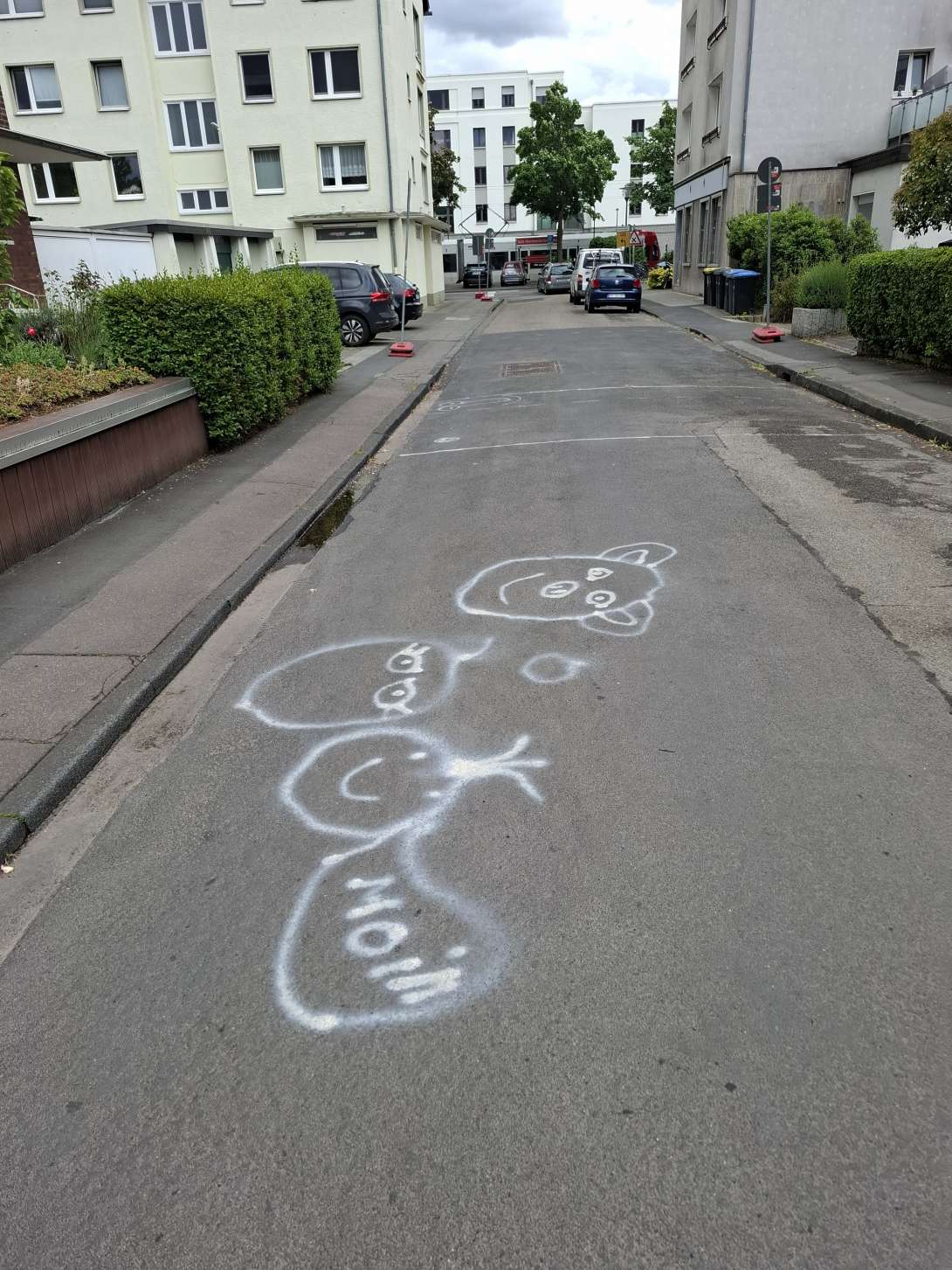 Bild zu gemeldetem Anliegen vom *2025-05-25 16:43:49