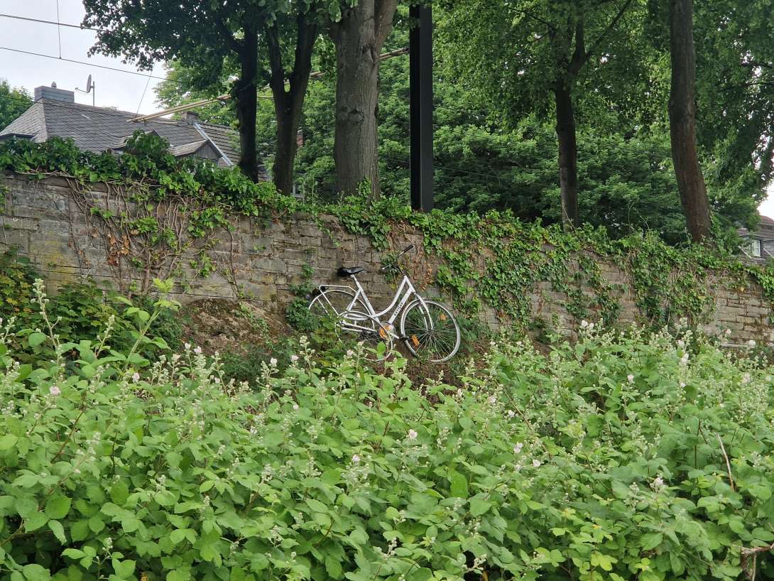 Bild zu gemeldetem Anliegen vom *2025-05-18 10:46:47