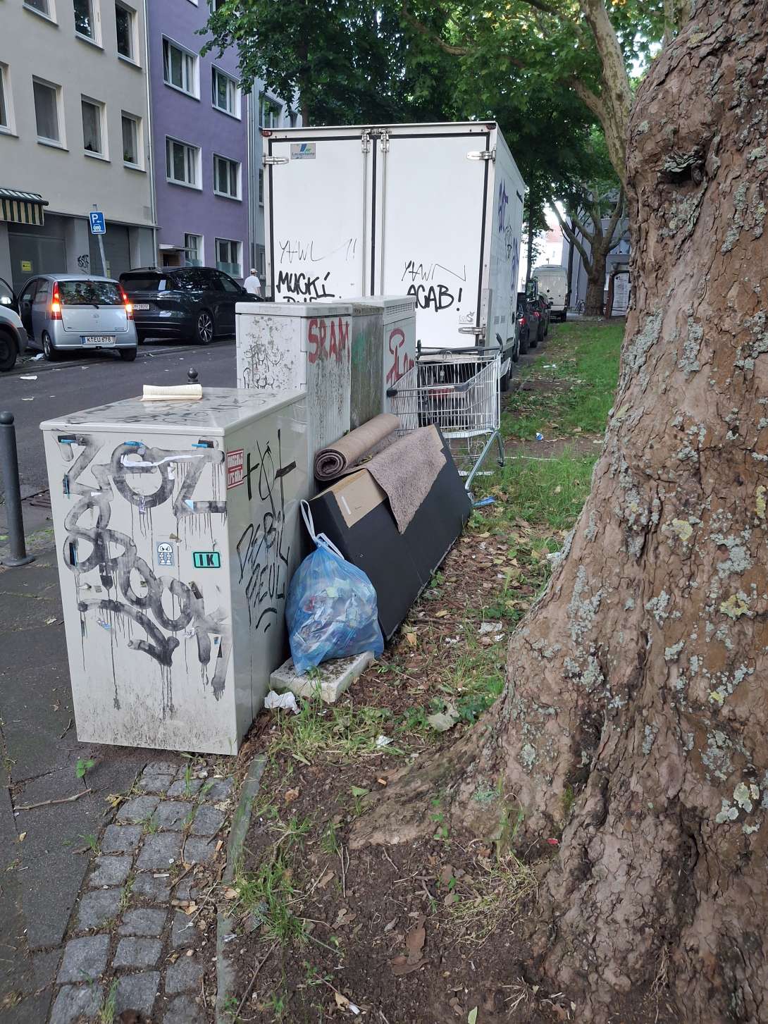 Bild zu gemeldetem Anliegen vom *2025-05-30 21:36:00