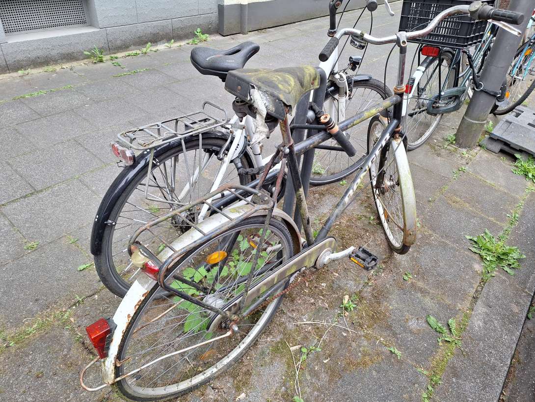 Bild zu gemeldetem Anliegen vom *2025-05-18 09:04:14