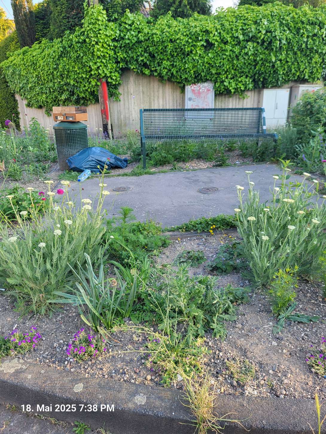 Bild zu gemeldetem Anliegen vom *2025-05-18 20:25:18