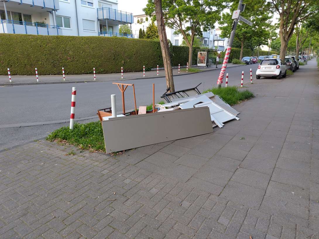 Bild zu gemeldetem Anliegen vom *2025-05-02 08:18:56