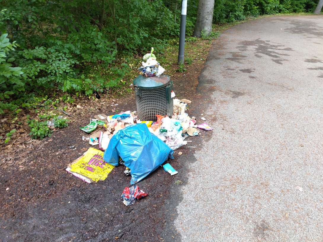 Bild zu gemeldetem Anliegen vom *2025-05-04 19:31:27